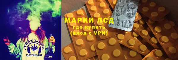 хмурый Абаза