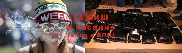 хмурый Абаза