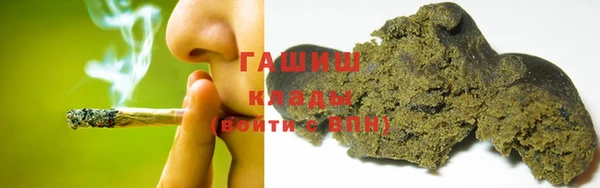 хмурый Абаза