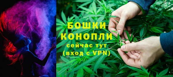 сатива Кодинск