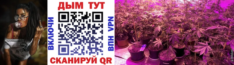 Бошки Шишки тримм Питкяранта